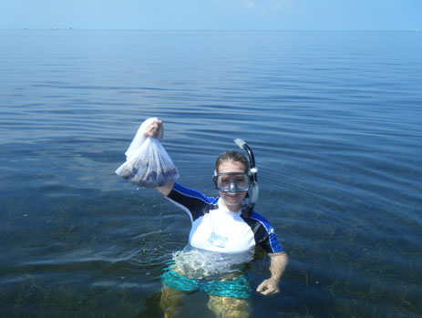 Bag of Scallops Gulf of Mexico Florida