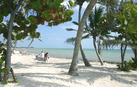Beach at Key West