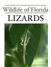 Lizards book cover