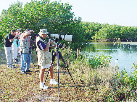 Photographers at Ding Darling National Wildlife refuge