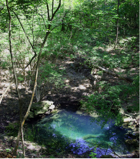 Unnamed Spring near the Suwannee River