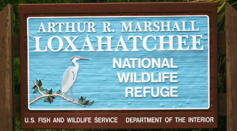 Loxahatchee National Wildlife Refuge
