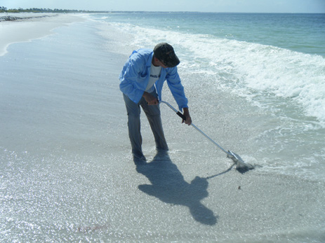 Sand fleas sand crabs beach hoppers raking beach for crabs rake Florida fishing bait pompano