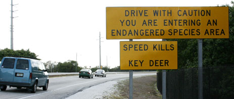 Road signs for Key Deer