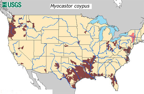 Distribution of Nutria in the US USGS Florida