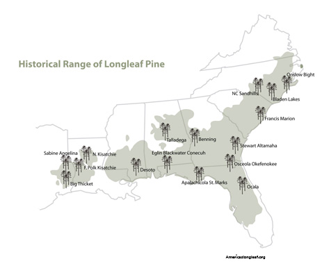 Map of longleaf pine distribution Florida wiregrass